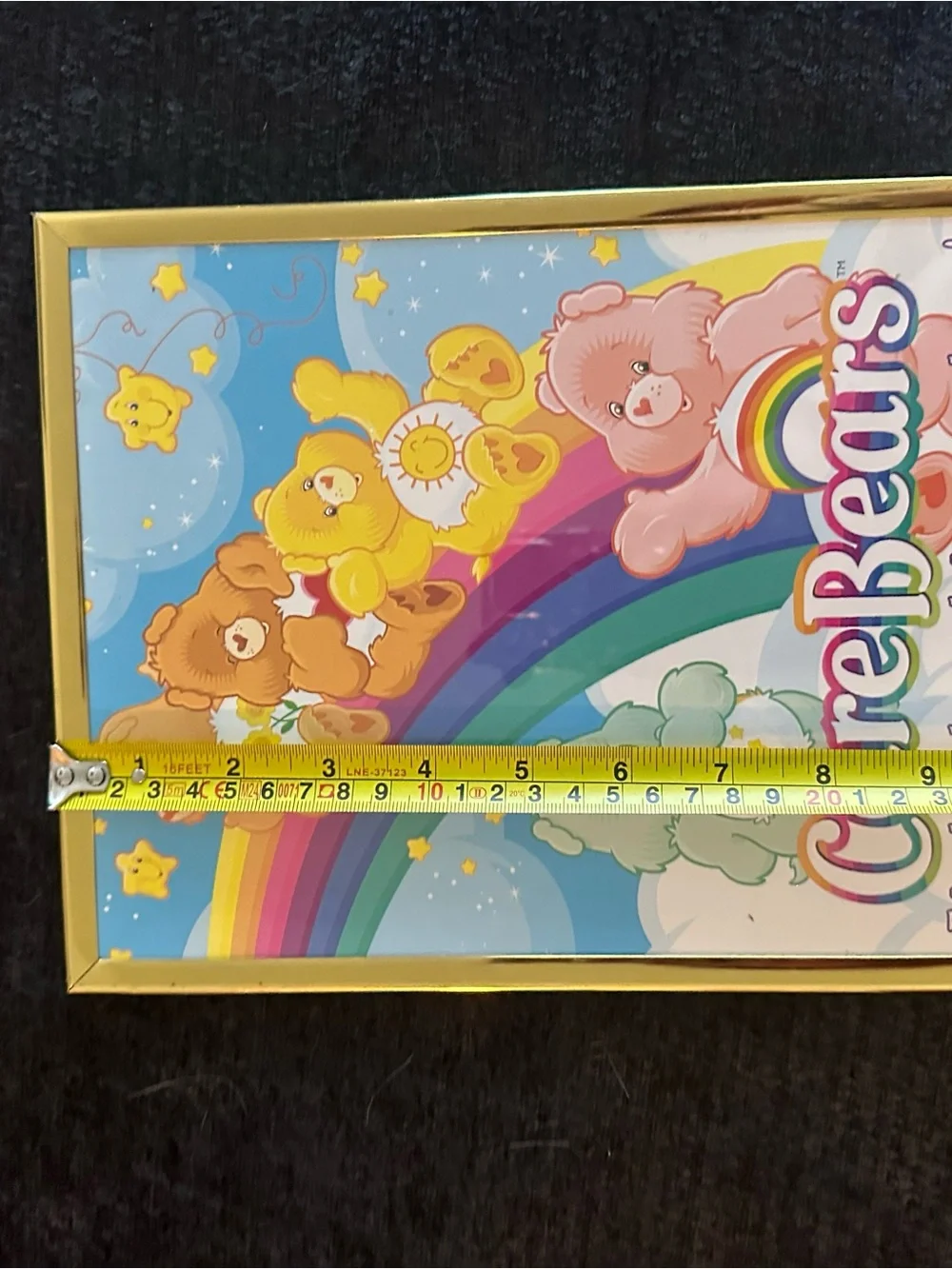 Care Bears Rainbow Wall Art - Blue, Yellow, Pink, Green, Orange, Purple